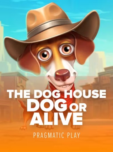 the-dog-house-dog-or-alive